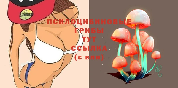круглые Дмитровск