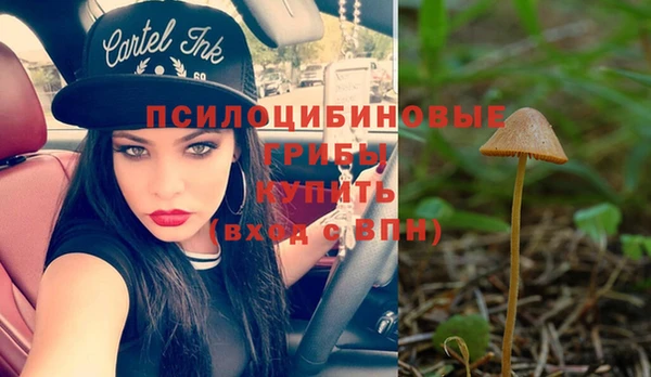 меф Дмитриев