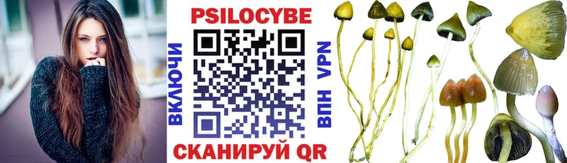 дарк нет клад  Одинцово  Галлюциногенные грибы GOLDEN TEACHER  наркота 
